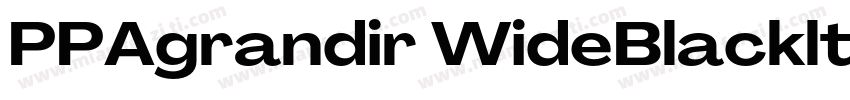 PPAgrandir WideBlackltalic 黑斜体字体转换